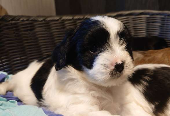 Erstes Bild-Beitrag-Bild