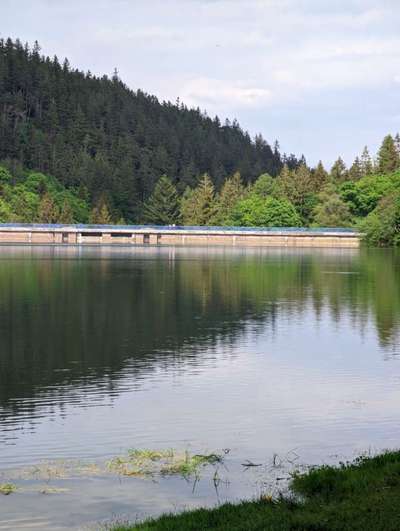 Hundeauslaufgebiet-Talsperre Lütsche-Bild