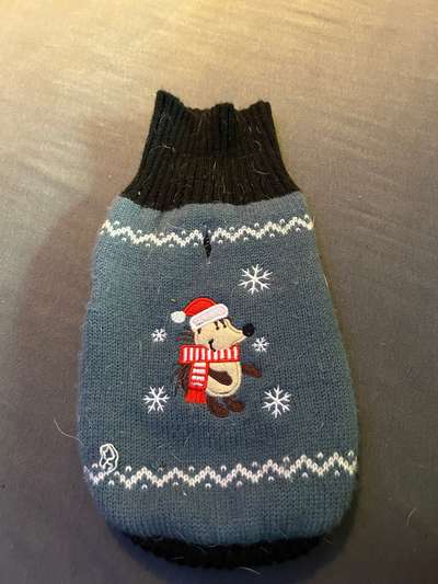 Hunde Zubehör anzubieten-Beitrag-Bild