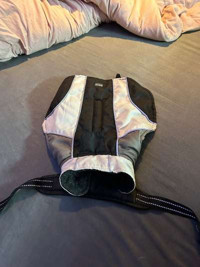 Hunde Zubehör anzubieten-Beitrag-Bild