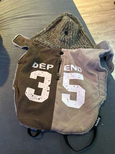 Hunde Zubehör anzubieten-Beitrag-Bild