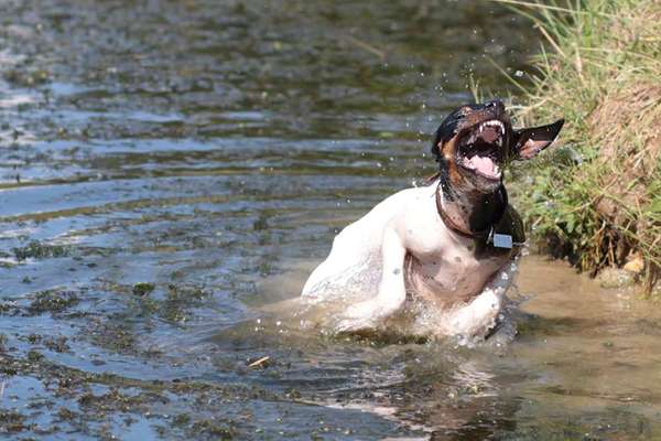Foto-Challenge Nr. 90: Lebensfreude-Beitrag-Bild
