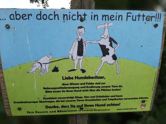 Heikles Thema: Kot überall aufsammeln oder nicht?-Beitrag-Bild