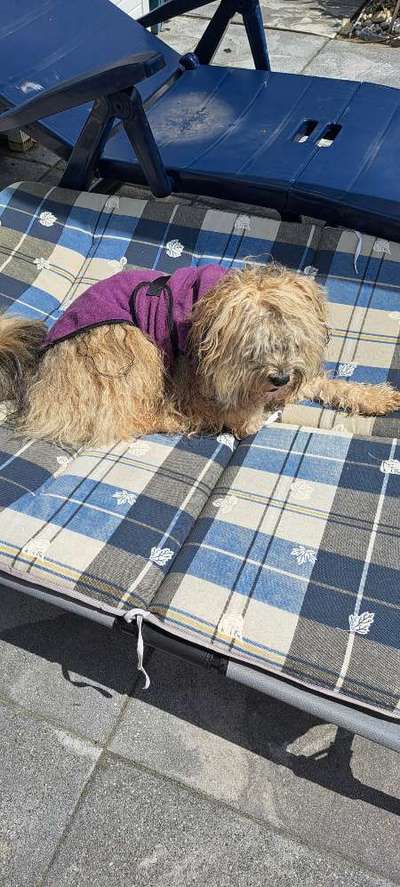 Freddys Kummerkasten-Beitrag-Bild