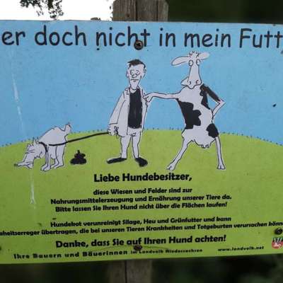 Was hat euch heute genervt?-Beitrag-Bild