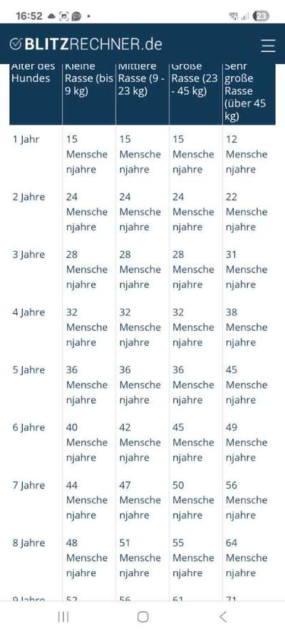 Hundealter in Menschenjahren ??-Beitrag-Bild