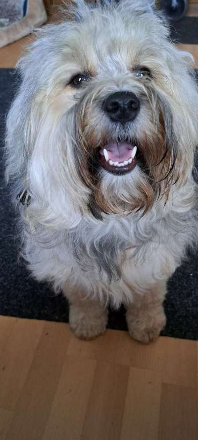 Freddys Kummerkasten-Beitrag-Bild