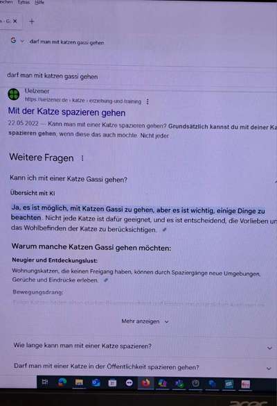 Katzen Spaziergang-Beitrag-Bild