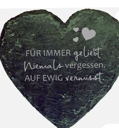 Unsere Fellnasen im Regenbogenland-Beitrag-Bild