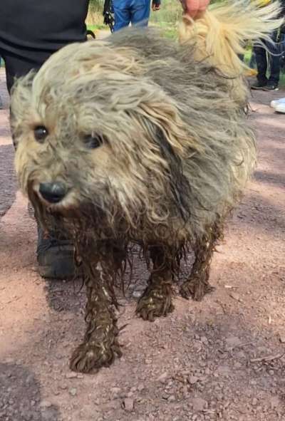 Freddys Kummerkasten-Beitrag-Bild