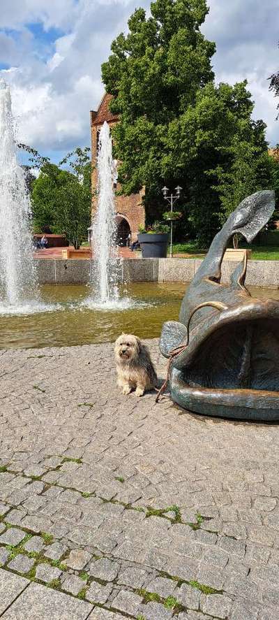 Freddys Kummerkasten-Beitrag-Bild