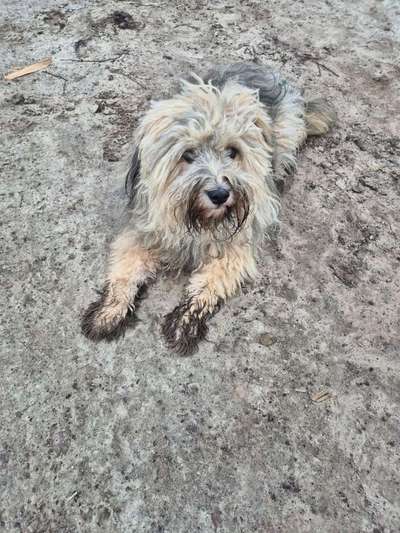 Freddys Kummerkasten-Beitrag-Bild