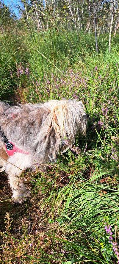 Freddys Kummerkasten-Beitrag-Bild