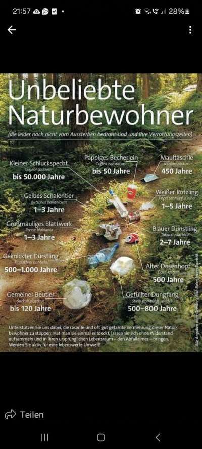 Hunde Memes-Beitrag-Bild