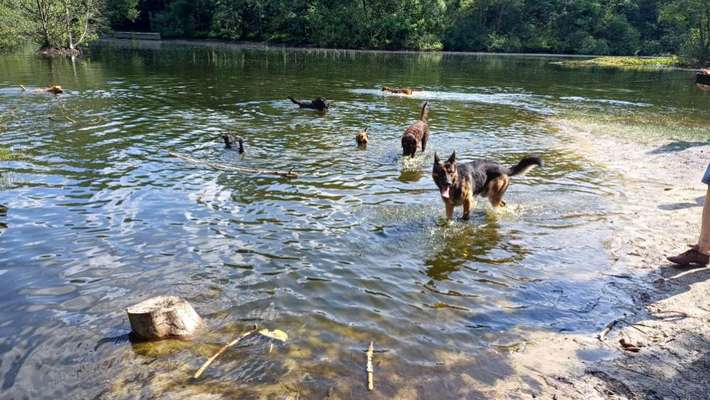 Freddys Kummerkasten-Beitrag-Bild