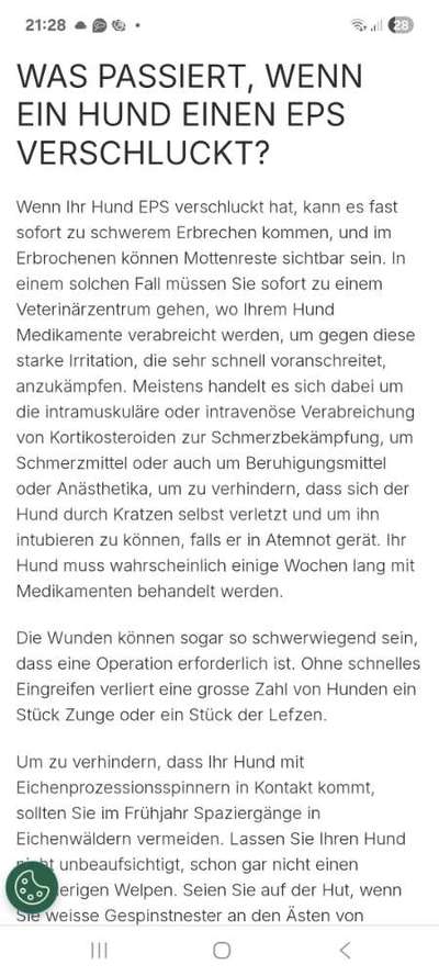 ⚠️🐛 Eichenprozessionsspinner – echte Gefahr für Hunde oder unnötige Panikmache?-Beitrag-Bild