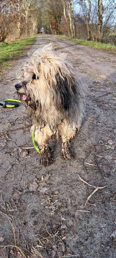 Häufige Vorurteile-Beitrag-Bild