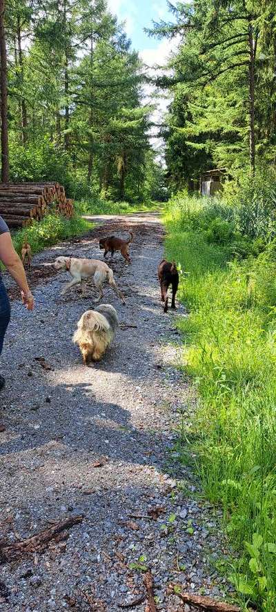 Freddys Kummerkasten-Beitrag-Bild