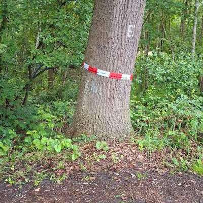 Giftköder-EPS am Rüschenweg-Bild
