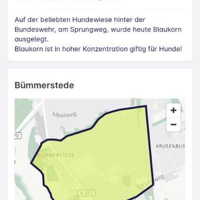 Giftköder-Gift Blaukorn-Bild