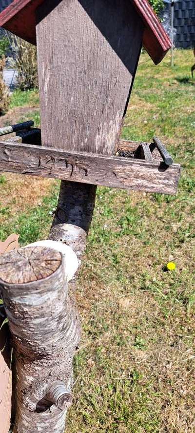 Freddys Kummerkasten-Beitrag-Bild