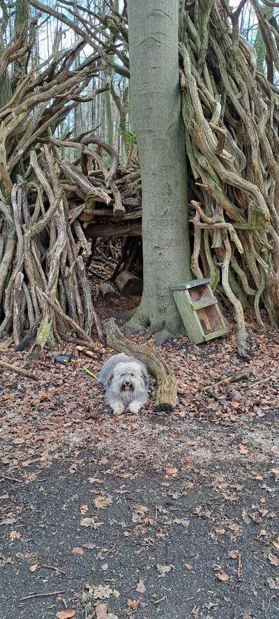 Freddys Kummerkasten-Beitrag-Bild