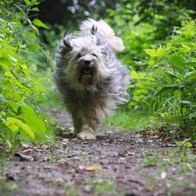 Freddys Kummerkasten-Beitrag-Bild