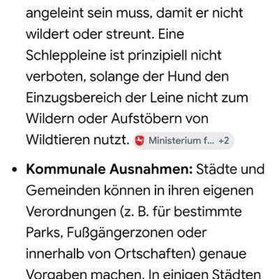 Das Dilemma mit der Rollleine-Beitrag-Bild