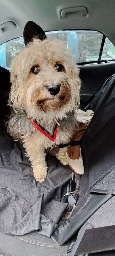 Freddys Kummerkasten-Beitrag-Bild