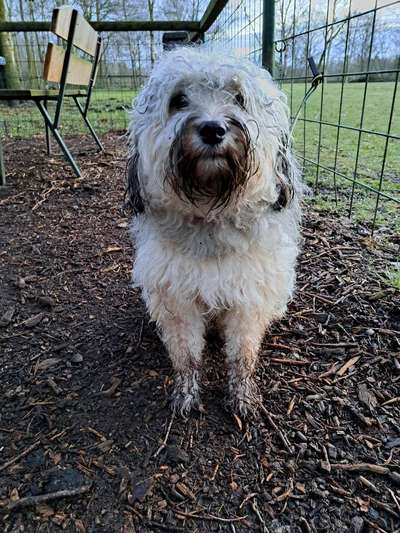 Freddys Kummerkasten-Beitrag-Bild