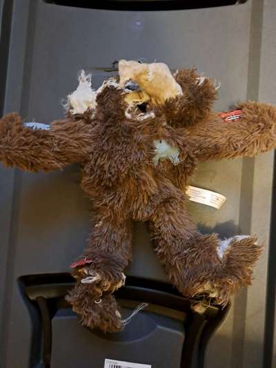 Freddys Kummerkasten-Beitrag-Bild