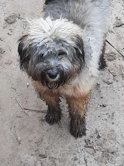 Freddys Kummerkasten-Beitrag-Bild