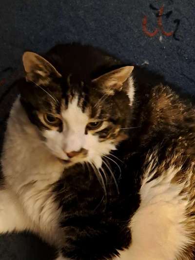 Freddys Kummerkasten-Beitrag-Bild