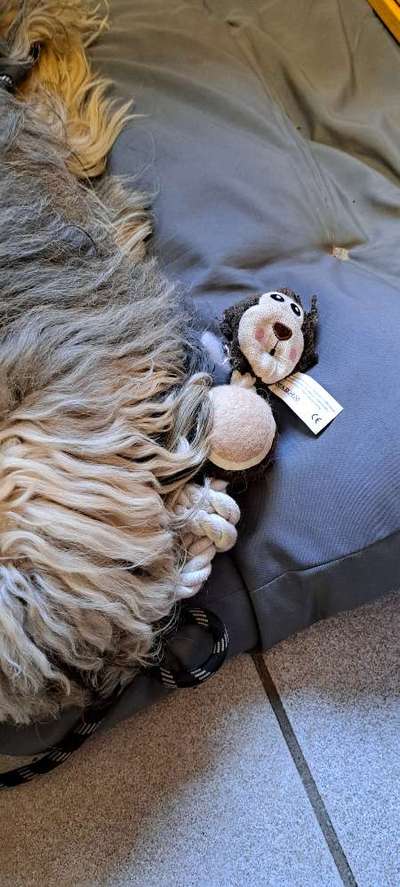 Freddys Kummerkasten-Beitrag-Bild