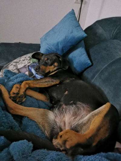 FOTO-Challenge  NR. 91: Die pure Entspannung-Beitrag-Bild