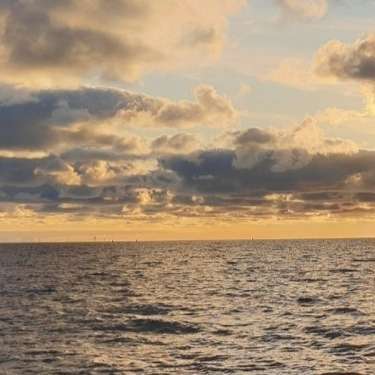 Hundetreffen-Suche Menschen mit Hund für entspannte Spaziergänge :)-Bild