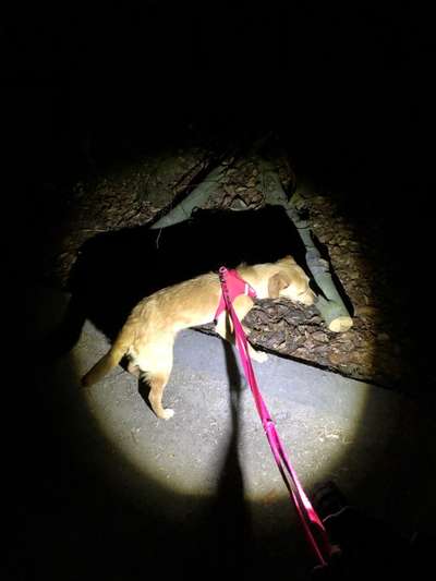 Von oben-Beitrag-Bild