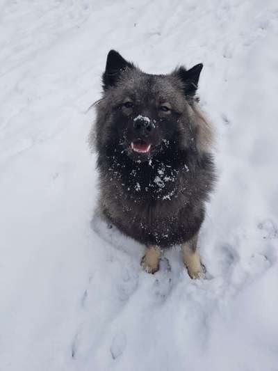 Handy-Foto-Challange Nr.9-Beitrag-Bild