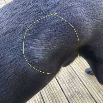 Haarausfall ohne Juckreiz-Beitrag-Bild