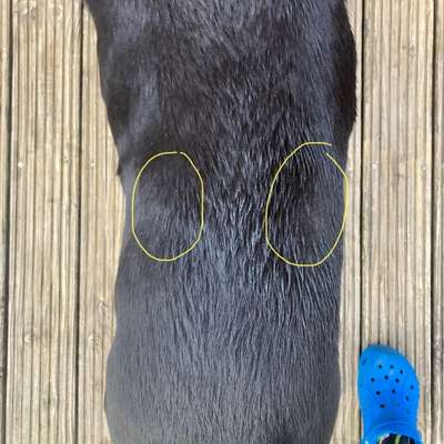 Haarausfall ohne Juckreiz-Beitrag-Bild