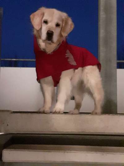 Fotochallenge Nr. 56 - geliebte Senioren-Beitrag-Bild