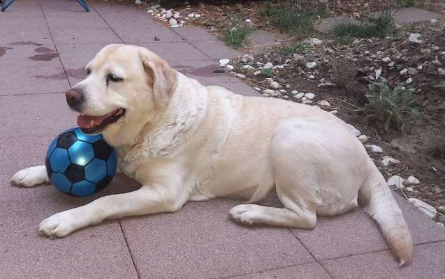 %{de_profession_title}-Labordiagnostik  - Gesundheitscheck-Bild