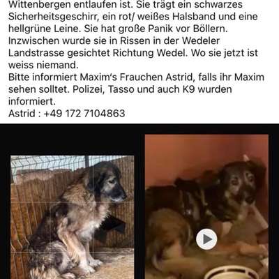 Suchmeldung-Maxim-Bild