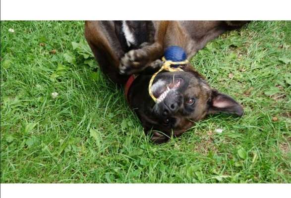 Fotochallenge No. 26                                     Wald und Wiese-Beitrag-Bild