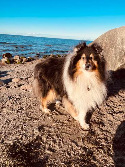 Fotochallenge Nr. 56 - geliebte Senioren-Beitrag-Bild