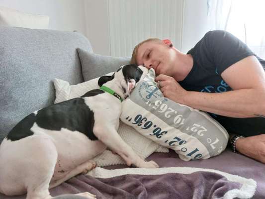 Dogorama Photo Challenge - Liebesbeweis-Beitrag-Bild