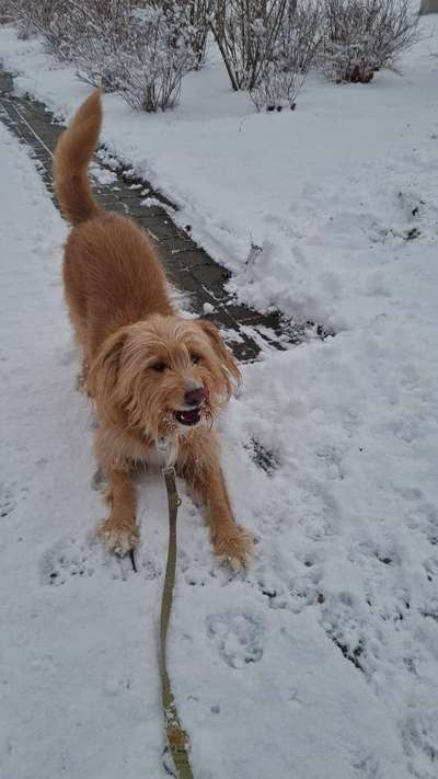 Lieblingsbild-Beitrag-Bild