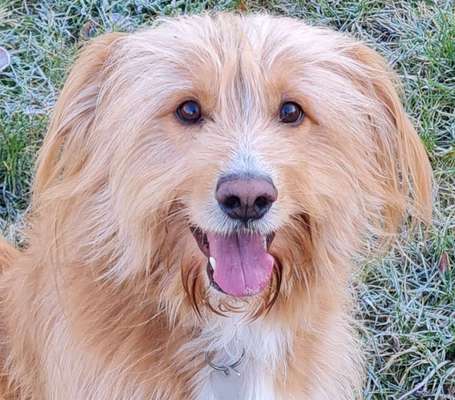 Fotochallange Nr. 57     PORTRÄT.   Beendet!!!!!!!!-Beitrag-Bild