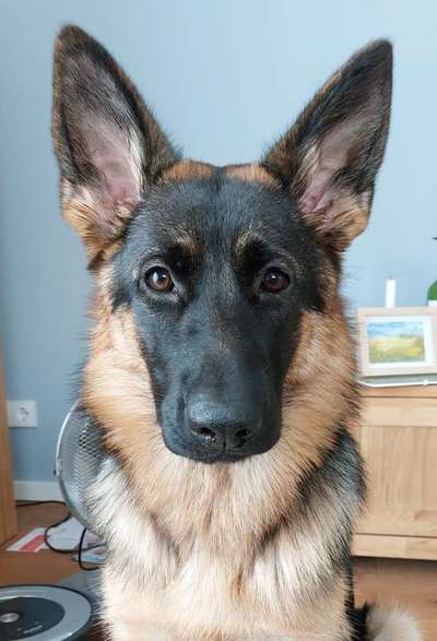 Fotochallange Nr. 57     PORTRÄT.   Beendet!!!!!!!!-Beitrag-Bild