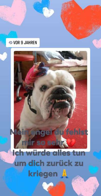 Unsere Sternchen ******-Beitrag-Bild